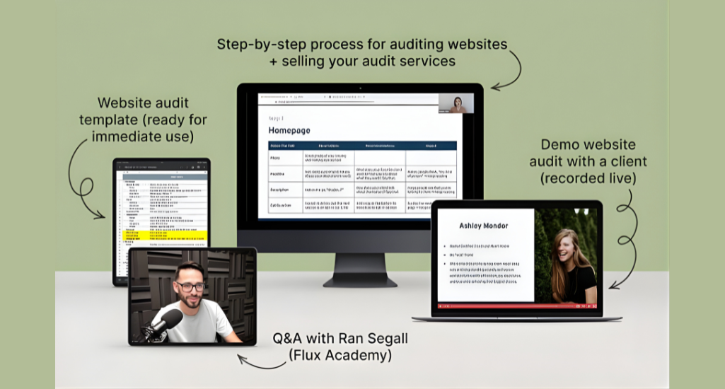 Danbee Shin - Website Audit Masterclass