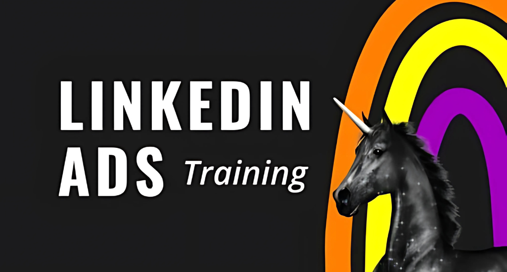 Super Lumen – The LinkedIn Ads Course Download